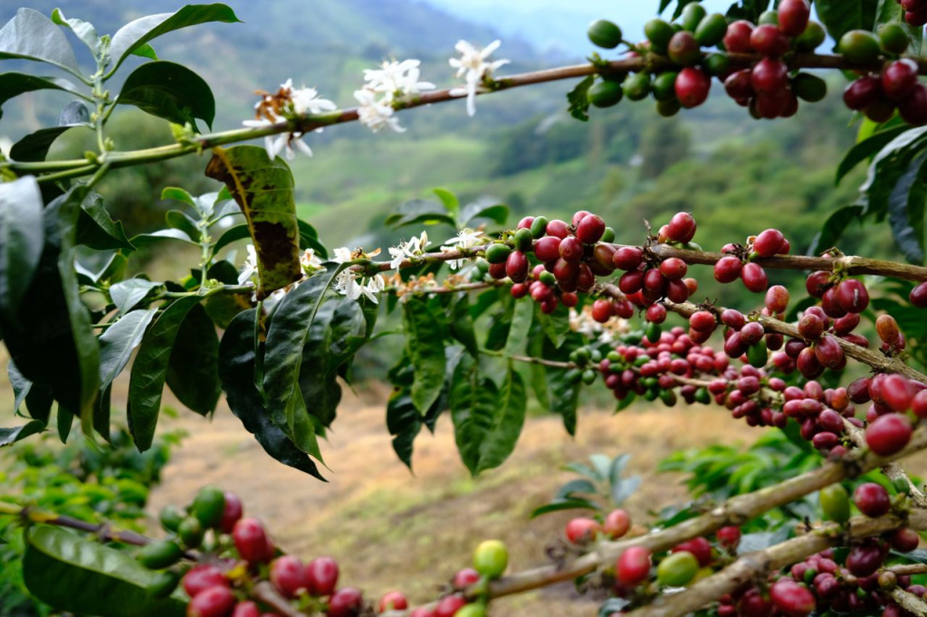 2025-09-26 11.56.10.jpg