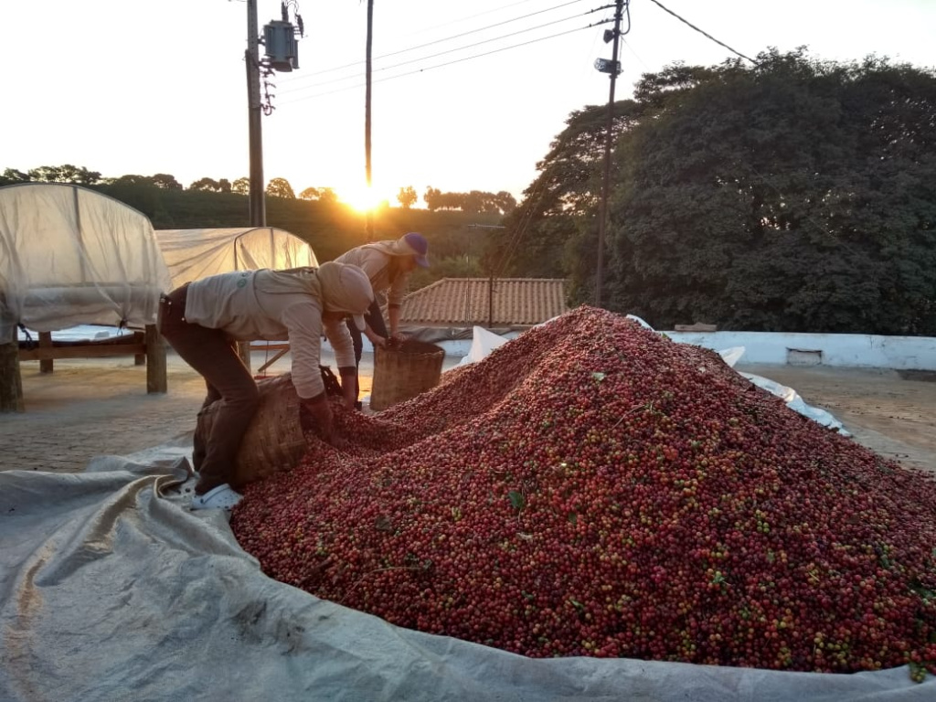 três pontas coffee.jpeg