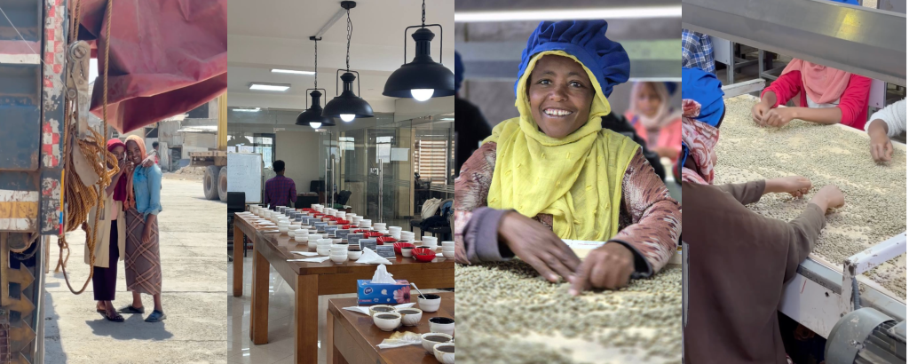 8381.png MyCollages.png