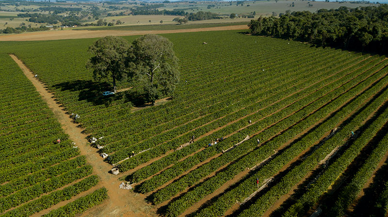 13-2 (1).jpg 13-2 (1).jpg