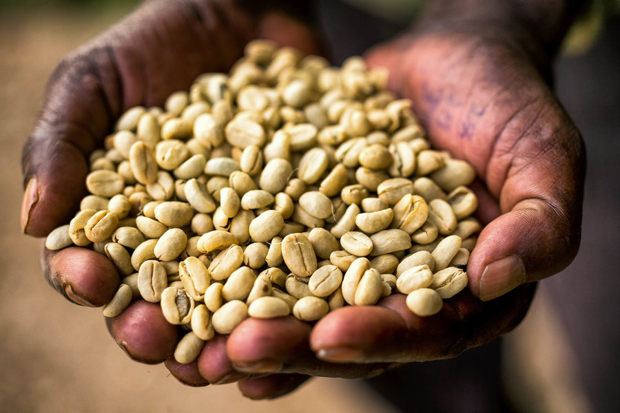 washed-coffee-south-west-ethiopia.jpg washed-coffee-south-west-ethiopia.jpg