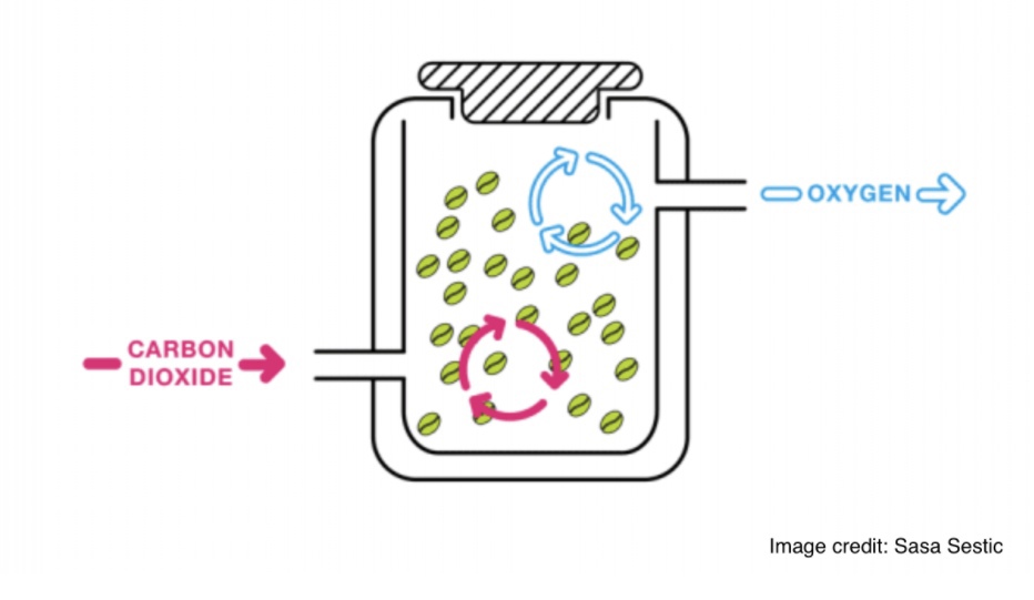 ziMA4sGt_dw.jpg ziMA4sGt_dw.jpg