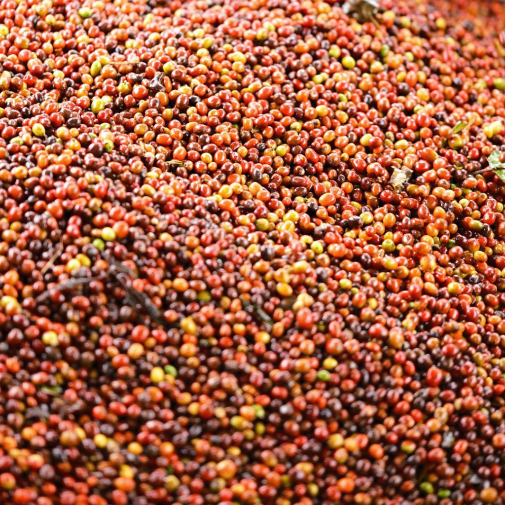 39227.jpg
