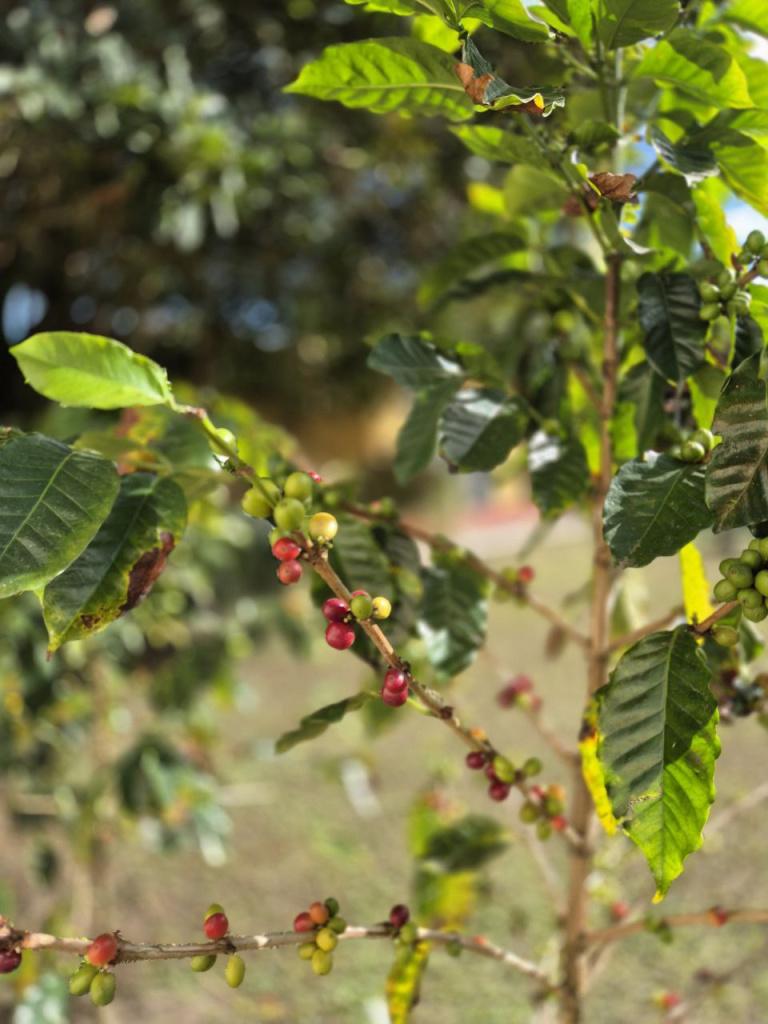 593030.jpg 593030.jpg