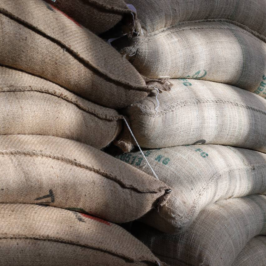 IMG_0212 копия.jpg