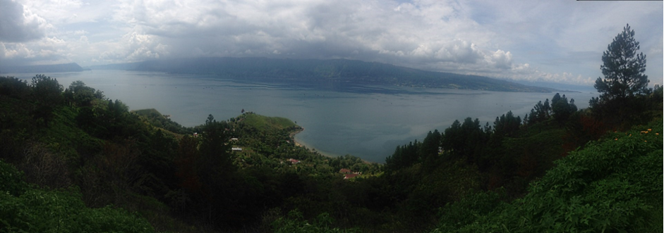 Индонезия кофе ферма Индонезия кофе ферма